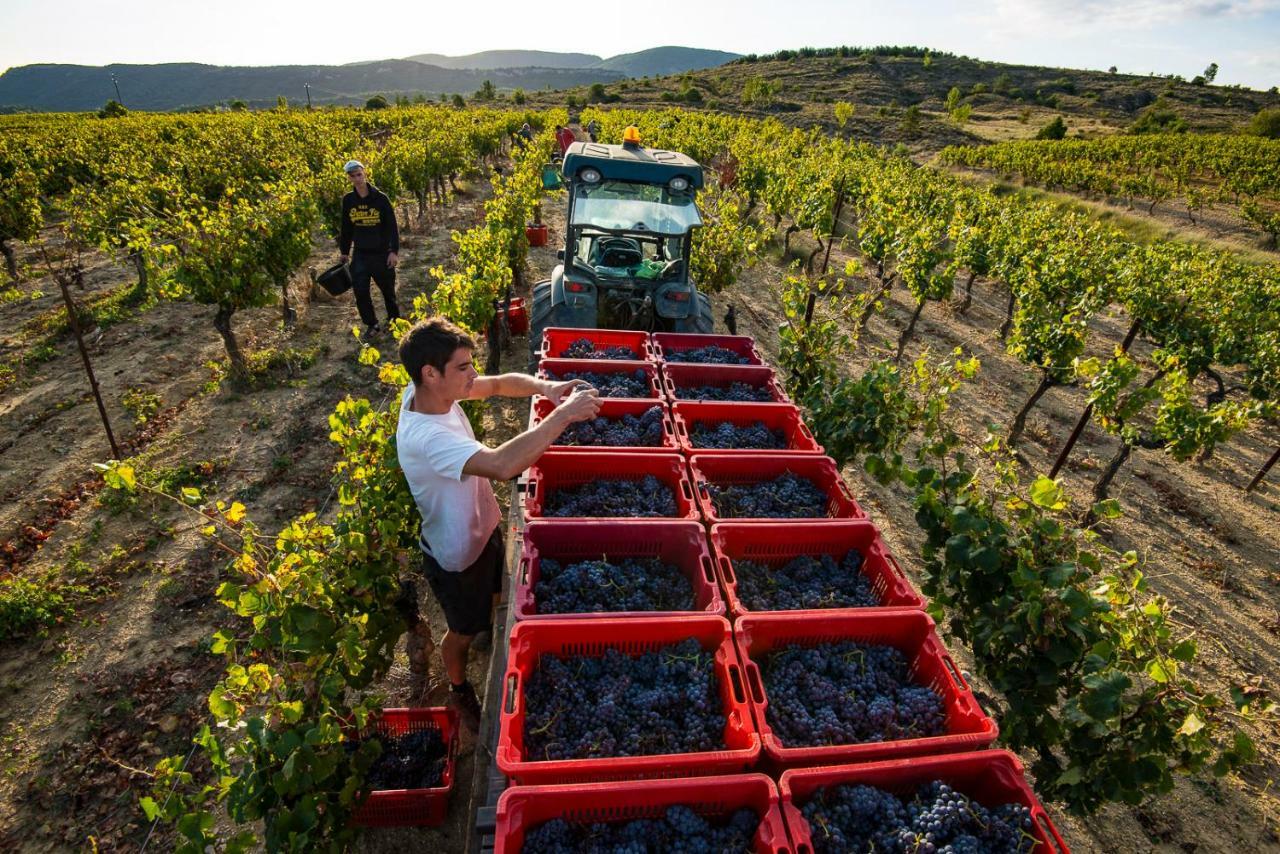 ホテル Cap Ardeche Laurac-en-Vivarais エクステリア 写真