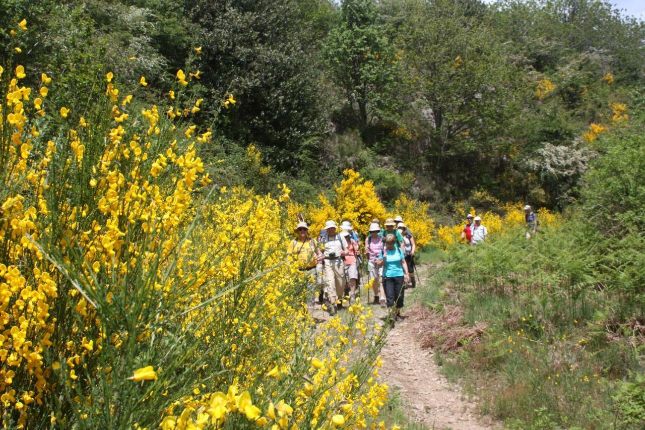 ホテル Cap Ardeche Laurac-en-Vivarais エクステリア 写真